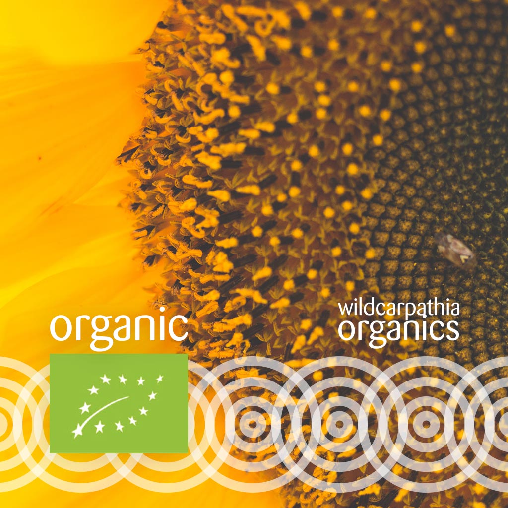 Organic Sunflower Carrier Oil - Wild Carpathia Organics